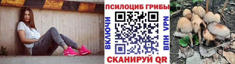 Галлюциногенные грибы Magic Shrooms  Малаховка 